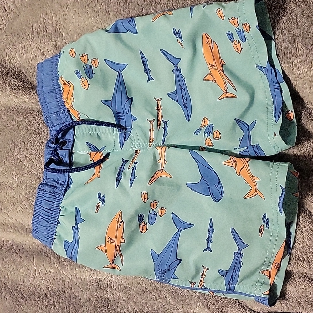 3/$5 Boys Swim Shorts 5T